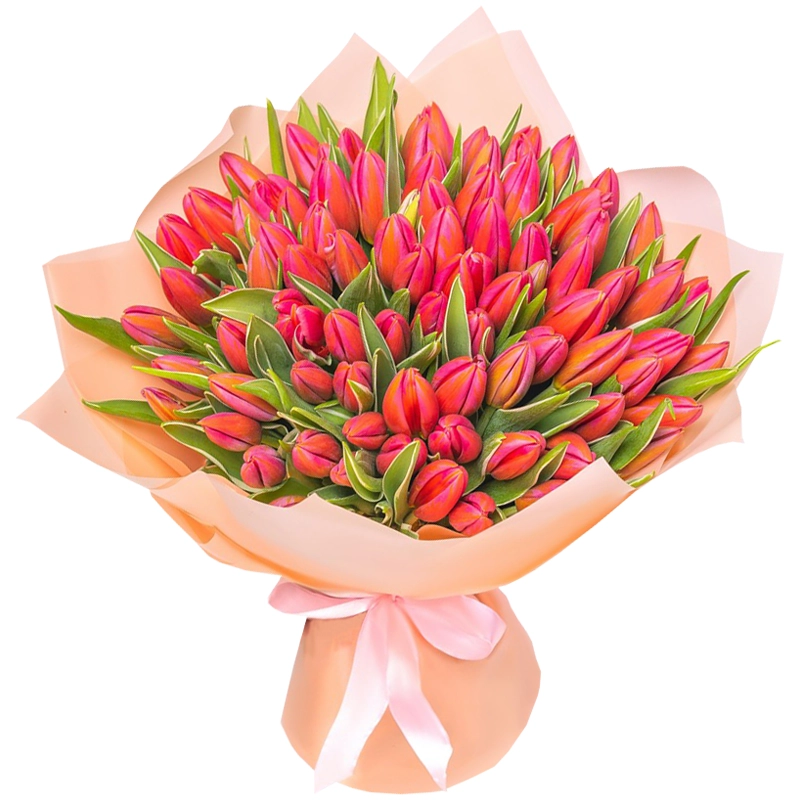 101 пятнисто розовый тюльпан