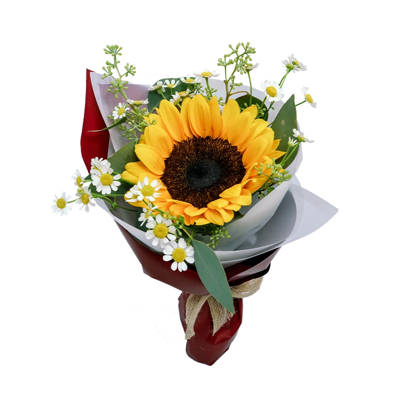 Букет Солнечный зайчик